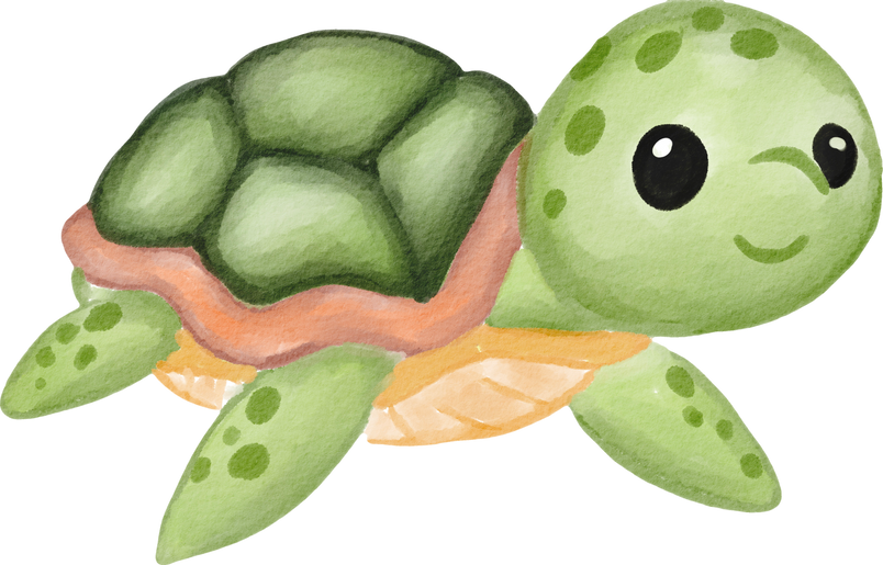 sea turtle sea animal cute doodle