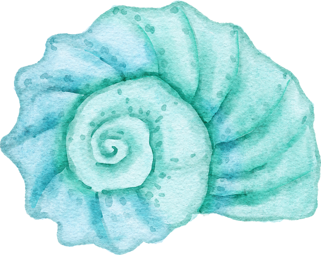 Blue turquoise sea ocean shell 