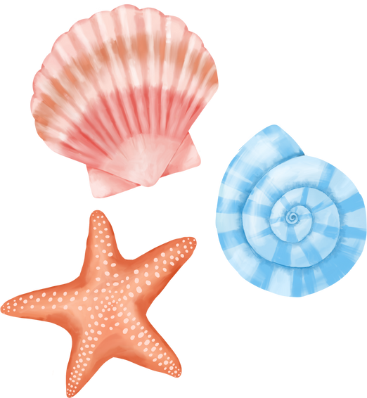 Sea Shells and Star